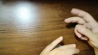 Дракон в 2023 году