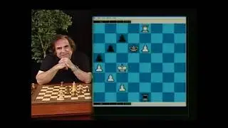 Advanced Rook and Pawn Endings by GM Roman Dzindzichashvili