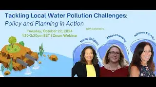 Tackling Local Water Pollution Challenges: Policy and Planning in Action
