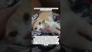 Для помощи жмите на этот текст
