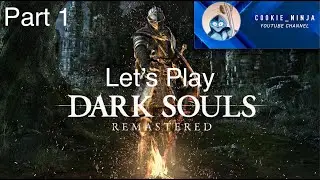 Dark Souls Remastered Let's Play 4k Part 1 - Undead Asylum and Item Runs