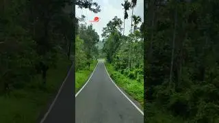 Beautiful Roads in Kerala....#road #beautifulroad #bestroads