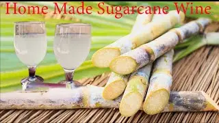 Home made Sugarcane Wine full Bengali recipe.ঘরে বসে আখের রস দিয়ে ওয়াইন তৈরি.