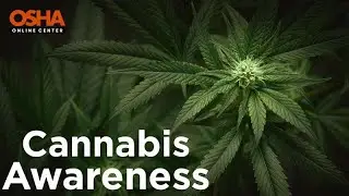 Cannabis Awareness Training | Workplace Safety, Impairment Risks | Online Training Certificate
