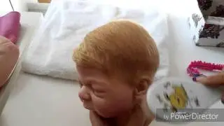 curso gratis /34/ Corte de pelo e injerto de pasta&ntilde;as.