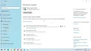 Windows 10 Cumulative Update For Version 22H2 x64 Based Systems - Updates Are GOOD But!