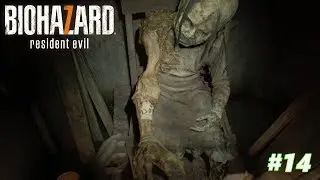 Resident Evil 7 Biohazard Walkthrough Gameplay   - The Arm Location for the Cure - Ep 14