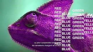 SIB, the movie - French subtitles