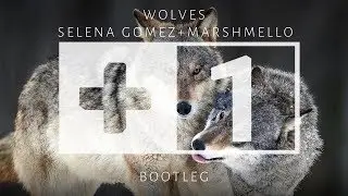 Selena Gomez, Marshmello - Wolves (B3NYBOI bootleg)