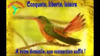 MisterColibri.avi