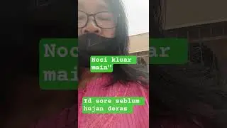 sore td mendung jg bntr saja anabul j noci main luar#anabul #shorts