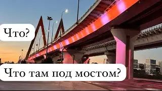 Спустились под мост Миллениум