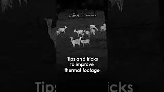 Tweak your Pulsar device&rsquo;s general settings to perfection and record breathtaking animal footage.