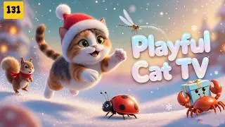 Playful Cat TV – Creative Play That Makes Cats Chase, Jump and Discover