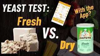 Fresh Yeast vs. Dry Yeast &ndash; Is There a Real Difference in Pizza Dough? Side-by-Side Test.