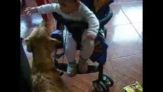 DSCF2856