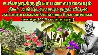 உங்களுக்கு திடீர் பணவரவையும் திடீர் அதிஷ்டத்தையும் தரும் வீட்டில் கட்டாயம் வைக்க வேண்டிய 5 தாவரங்கள்