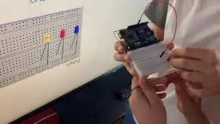 IT JUNIOR | programare si robotica pentru copii