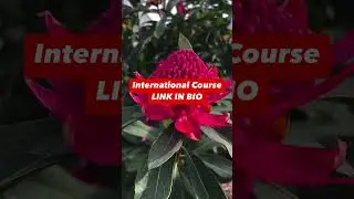#fioriaustraliani #floriterapia #fioridibach #naturopatia #australianbushfloweressences
