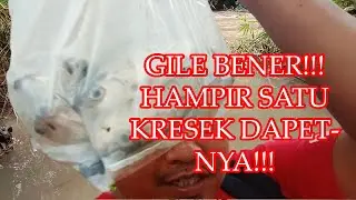 Gile bener!! Hampir Satu Kresek Dapetnya!! Mancing Ikan Lucas