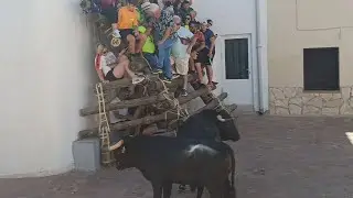 Mari Munera en apuros.. La Vegallera 2024