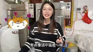 2023年春茶还没开采，茶商竟争先抢后抢“假春茶”，现场太震撼了#茶叶 #春茶 #采茶 #凤凰单丛 #潮汕