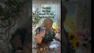 ТЕЛЕЦ &mdash; Особое послание! (Читать полностью) #tarot #taurus