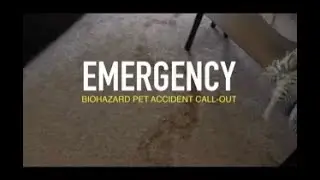 Emergency Biohazard Carpet Cleaning Portstewart | Fast Response | Cleaning Contractors NI