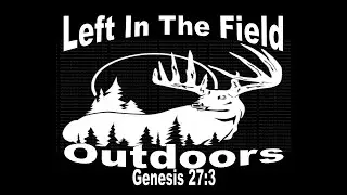Do You Know the 8 Glands of a Whitetail Deer