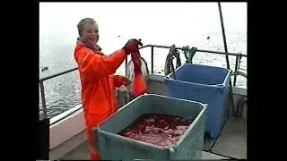 Arnar &aacute; sj&oacute; klippt
