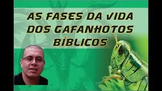AS FASES DO GAFANHOTO BÍBLICO - Polífagos ou Demônios / THE PHASES OF THE BIBLICAL GRASSHOPPER