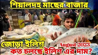 Sealdah Wholesale Fish Market | Sealdah Fish Market | Sealdah Macher Bazar