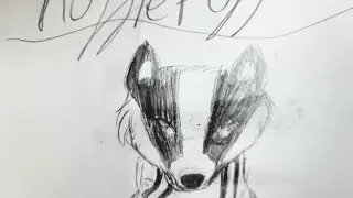 Drawing a Badger