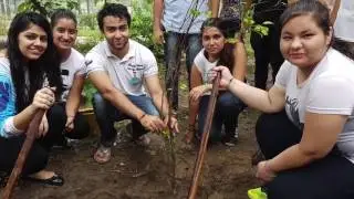 Green Revolution - July 2016