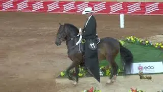 RONDADOR DE BUENAVISTA, PRIMER PUESTO CABALLOS 48 A 60 MESES TROTE Y GALOPE EXPOORIENTE GRADO A 2026