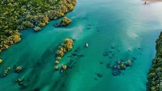 Weekend Dive, Spear & Fish - Broome