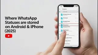 📂 Где хранятся статусы WhatsApp на Android и iPhone (2025)