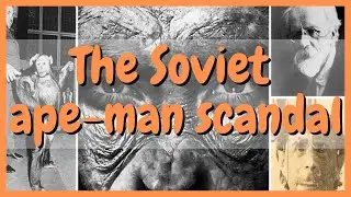 Five women offered to carry half ape babies in the interests of science - Ilya Ivanov