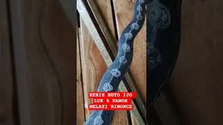 Keris Buto Ijo Luk 9 Pamor Melati Rinonce #pusaka #keris #kerispusaka