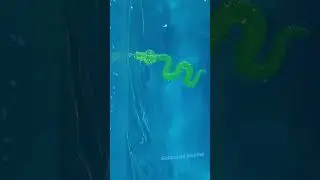 Brincadeira na piscina com geleca.