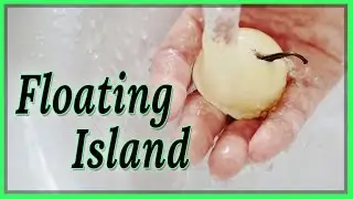 !NEW! LUSH Floating Island Bath Melt Review & Demo