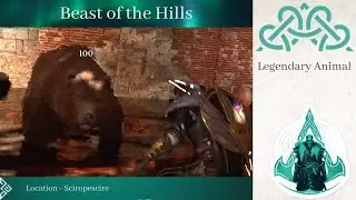 Beast of the Hills [Legendary Animal] : Assassin&rsquo;s Creed Valhalla