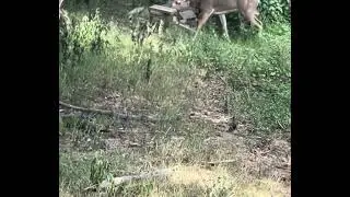 Did he hit him ??