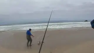 Lenguado de 5k y medio en las costas de atacama!