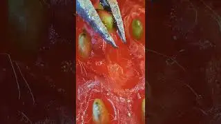 MicroscopeMagic
