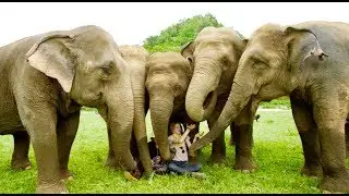 INTERVIEWS WITH RABBI DAVID BARON - ASHLEY BELL LOVE & BANANAS