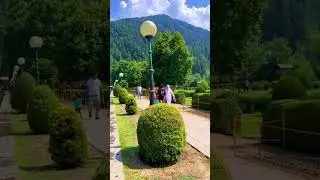 Kashmir garden 🏡