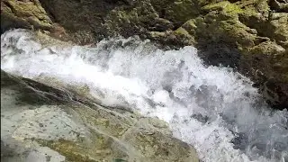 Relaxing sound of nature &bull; Kids playing swimming and cooking 🔥