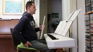 Jesih/Robežnik: Lastovka (flute and piano cover)