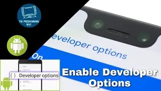 How to Enable Developer Options in Android 11 | The Programming Way
